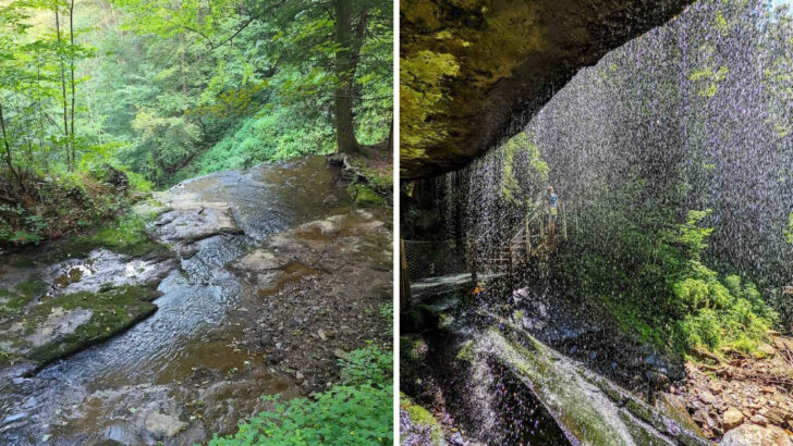 One Of The Prettiest Waterfalls In Western Pennsylvania Is Tucked Inside A 48-Acre Natural Area