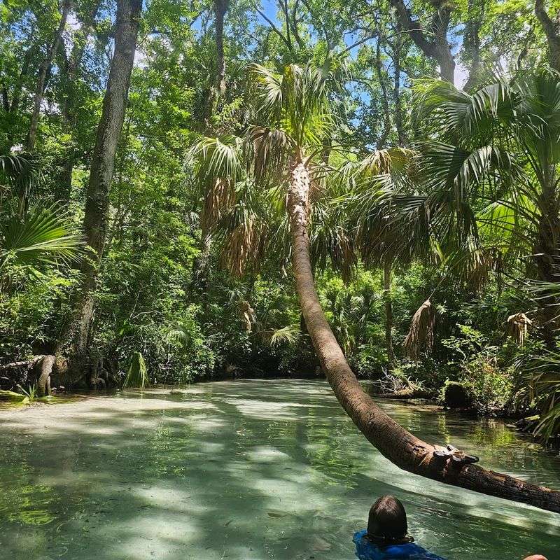 A History That Reaches Back Thousands of Years