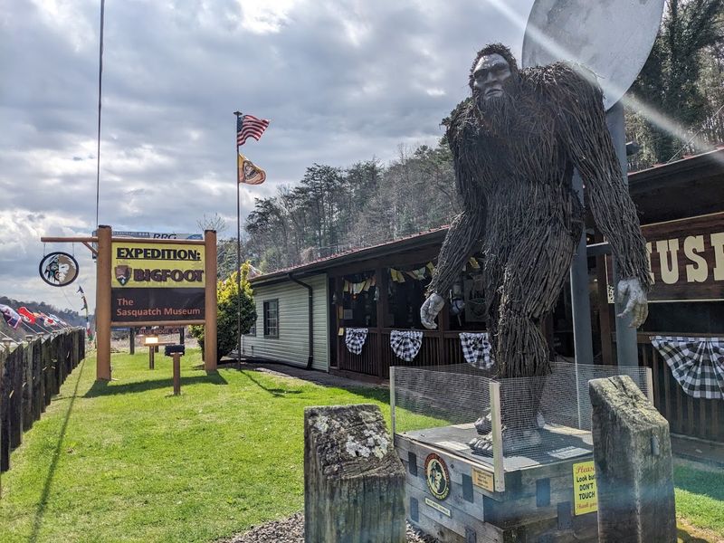 A Different Kind of Roadside Stop in North Georgia