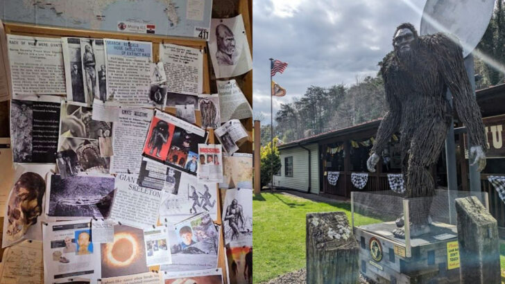 One of Georgia&rsquo;s Most Unusual Museums Is Dedicated to Sasquatch and Local Legends
