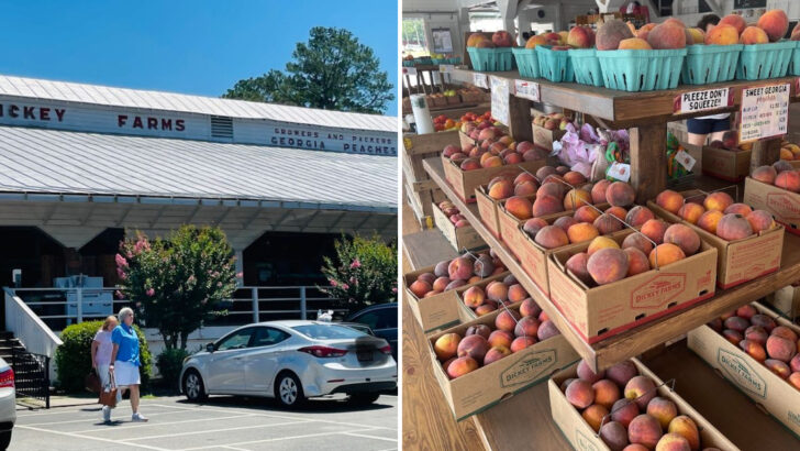 One of Georgia&rsquo;s Oldest Peach Farms Still Welcomes Visitors for Fresh Picks and Homemade Treats