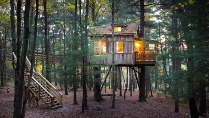 One of Ohio&rsquo;s most unique stays features luxury treehouses with hot tubs and unforgettable views