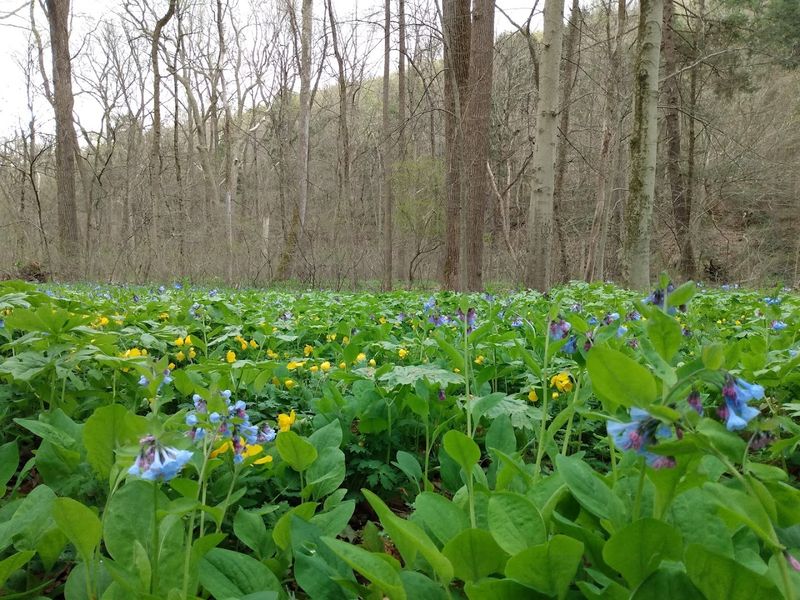 A Hidden Natural Gem in Bucks County
