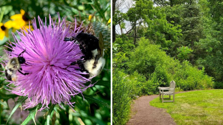 One of Pennsylvania&rsquo;s Most Beautiful Preserves Has Miles of Trails Surrounded by Rare Wildflowers