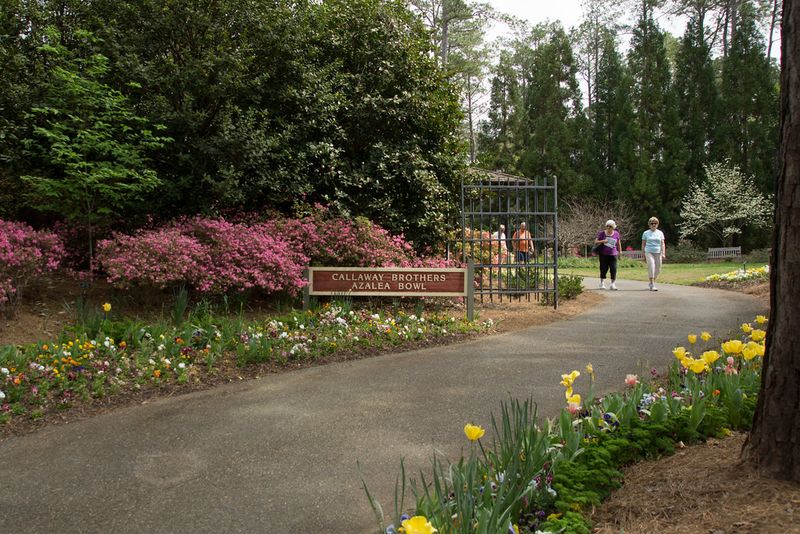 The Callaway Brothers Azalea Bowl