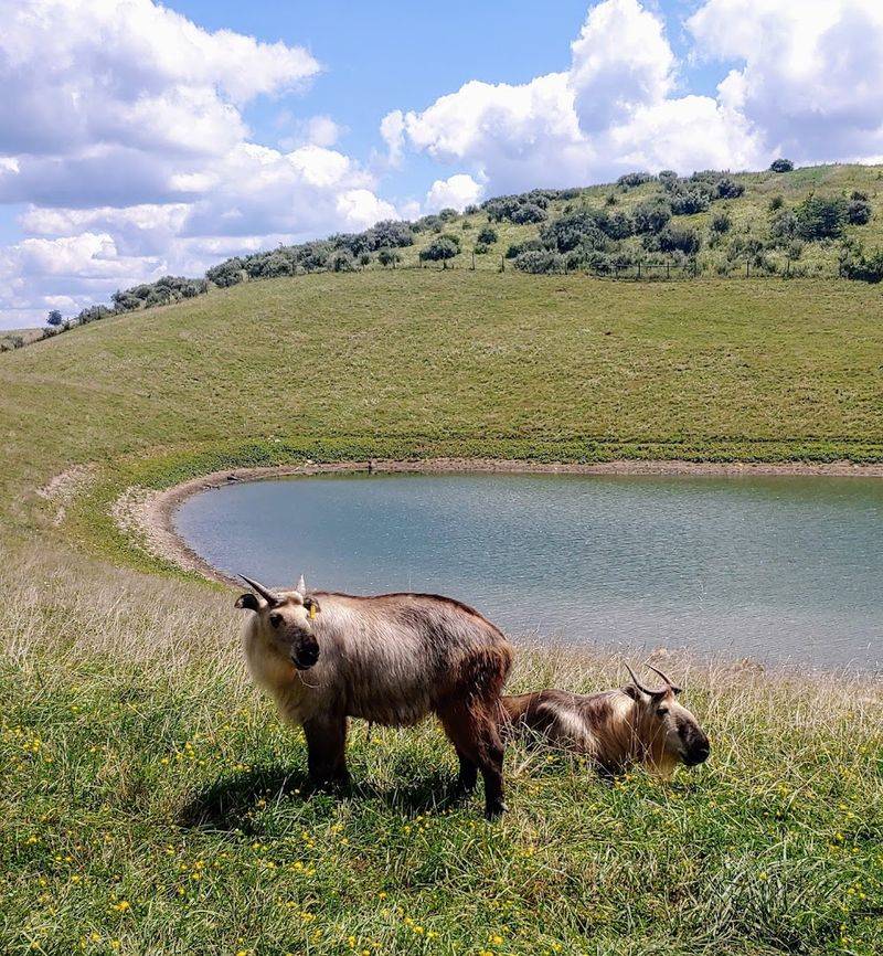 The 10,000-Acre Open-Range Safari Experience