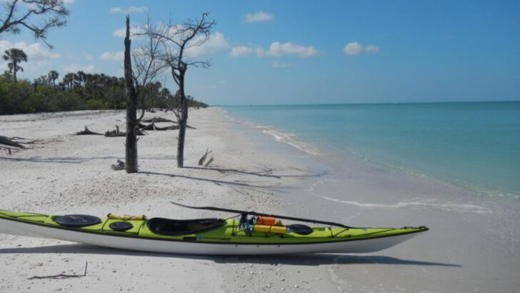One of the Last Untouched Barrier Islands in Florida Has Wild Dolphins, Nesting Sea Turtles, and Not a Single Paved Road