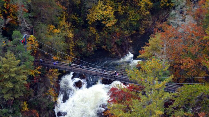 One of the Most Dramatic Gorges in the Eastern United States Sits in North Georgia and You Can Hike to Its Floor