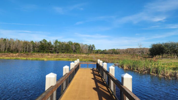 One of the Most Peaceful Weekends in Florida Starts at This Lakeside State Park Near Lakeland