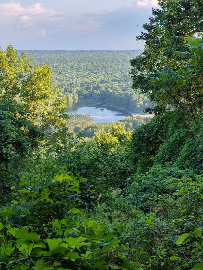 A Quiet Forest Escape Few Travelers Know About