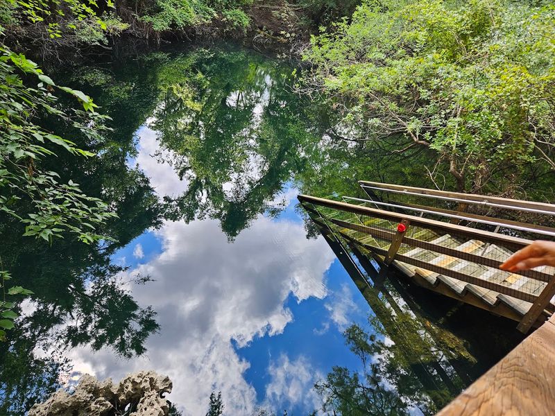 Peacock Springs Is Where The Experts Arrive