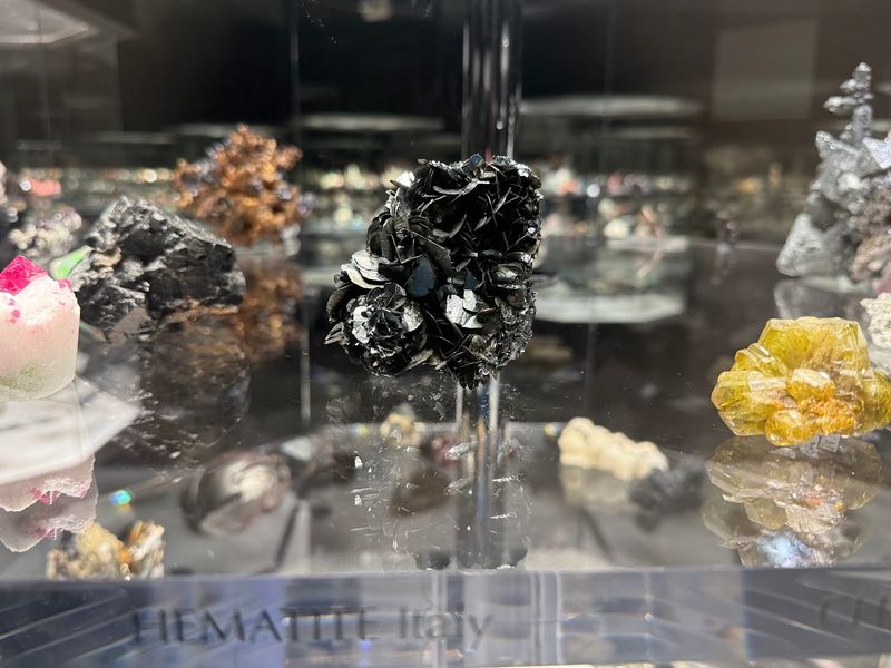 Growth Through Donations and Acquisitions