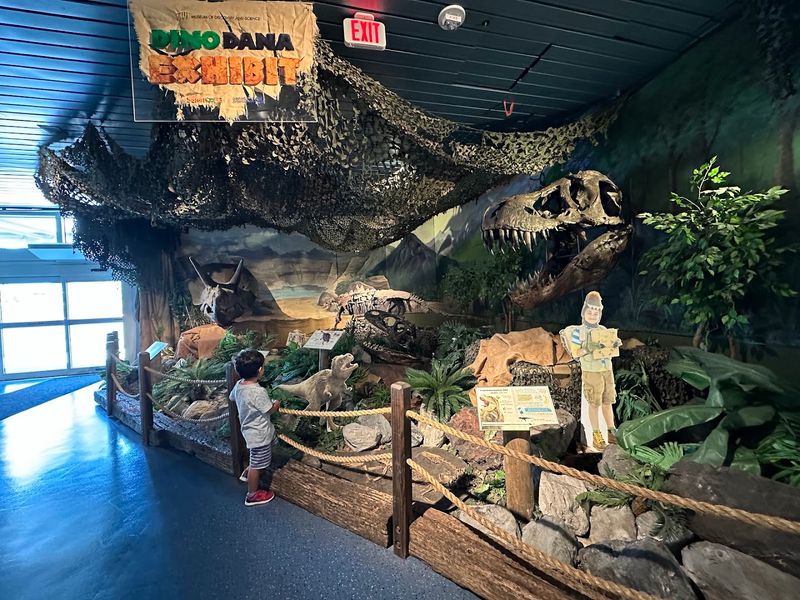 Museum of Discovery and Science