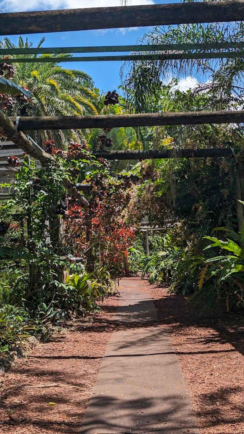 Who Should Visit Monkey Jungle