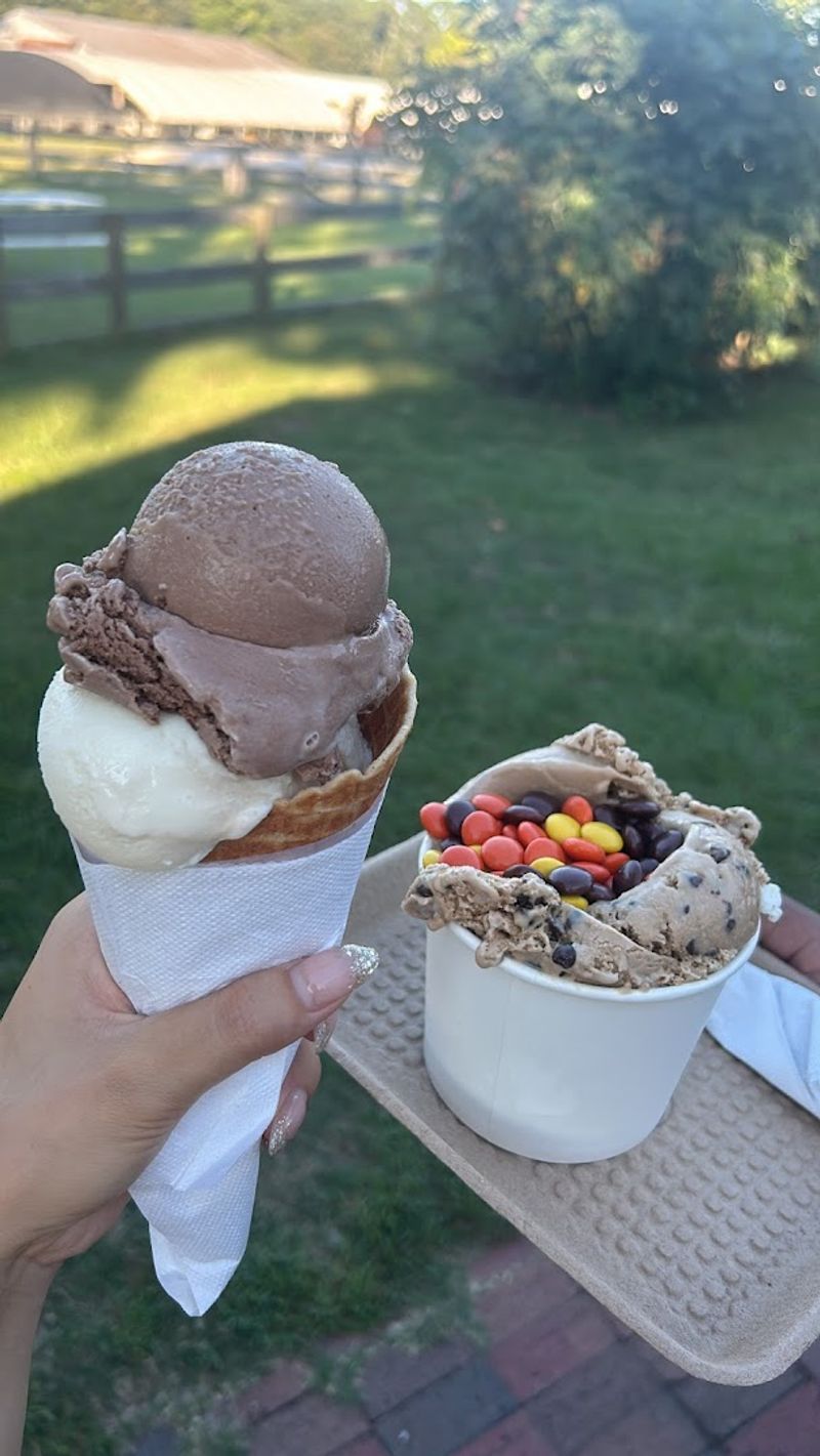 The Homemade Ice Cream: A Reason to Visit Even Off-Season
