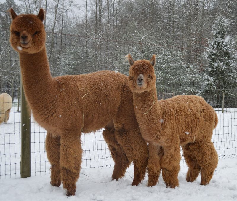 A Hidden Gem with Real Community Spirit