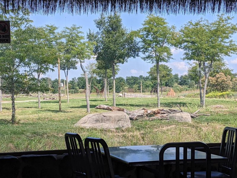 Dining With a View: Mapori Restaurant