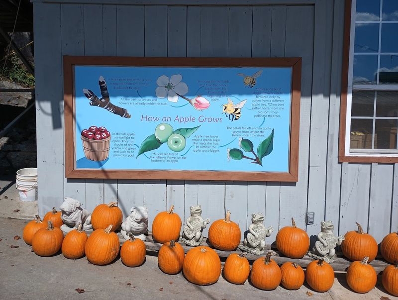 Hillside Orchard Farms (Lakemont)