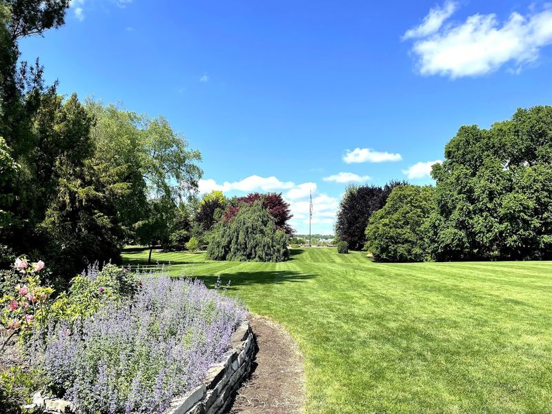 A Free Garden That Feels Like a Hidden Gem