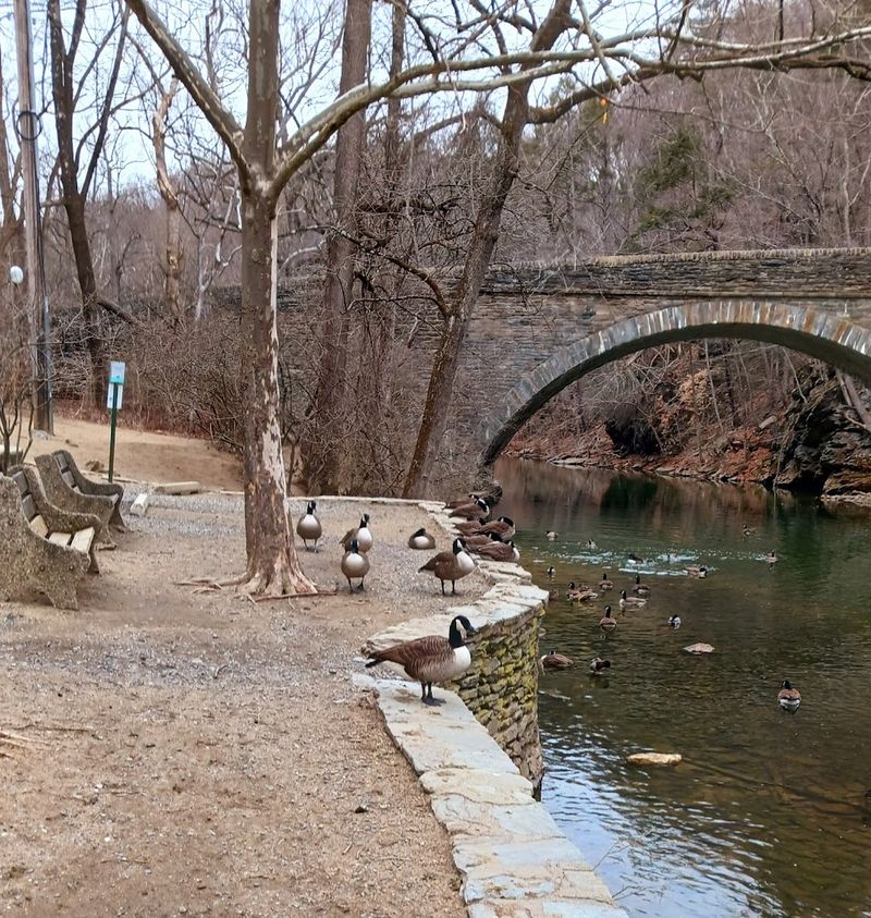 Wildlife and Nature Education Right Inside the City