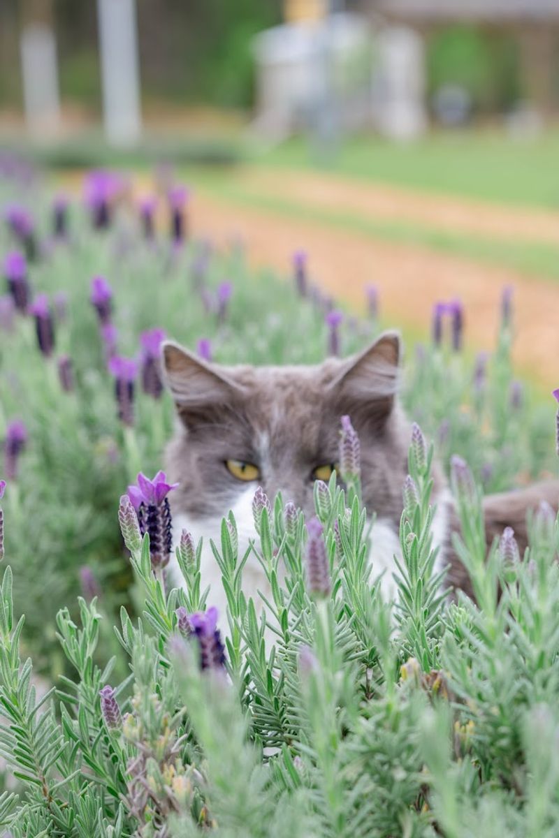 Visitor Info And Helpful Tips