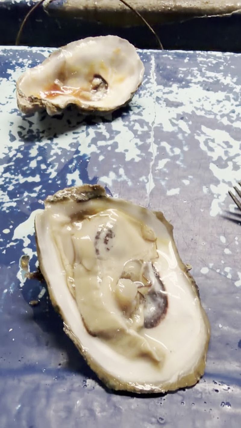 Fresh Gulf Oysters, Sourced the Old-School Way