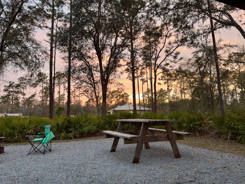 Ranger-Led Walks and Night Events