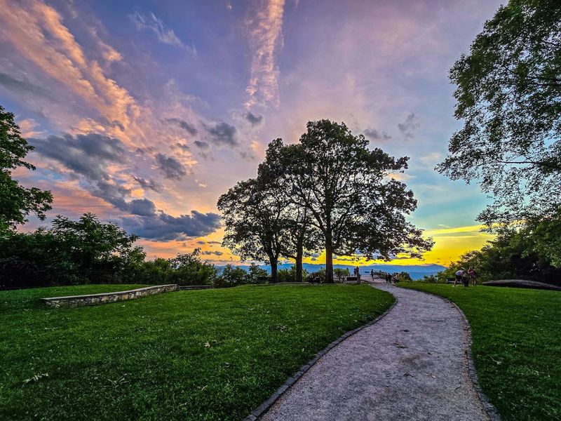 Easy Access Makes It Perfect for Everyone