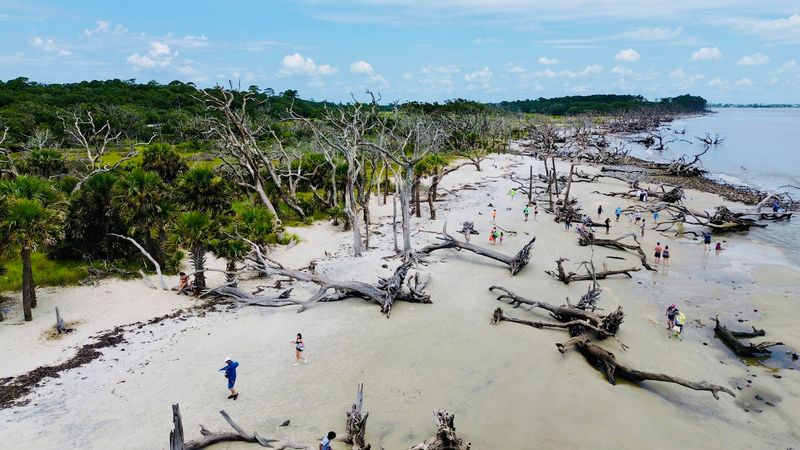 A Dog-Friendly Adventure on the Shore