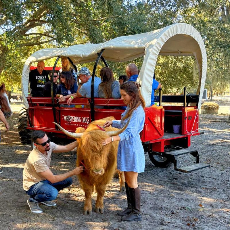 Why Families and Small Groups Love It