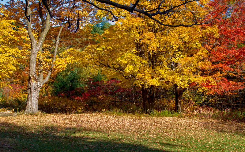 A Photographer's Dream in Every Season