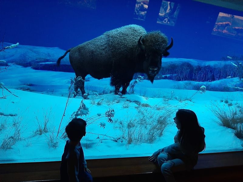The State Museum of Pennsylvania - Harrisburg, PA