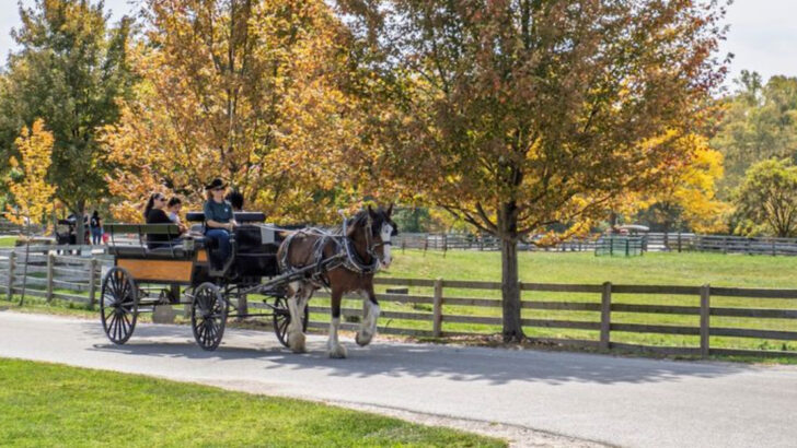 People Have Been Bringing Their Families To This Ohio Farmpark For Over 35 Years And It Only Gets Better With Time