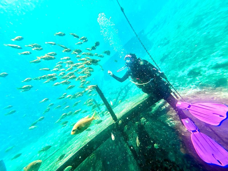 Underwater Statues and Unique Diving Features