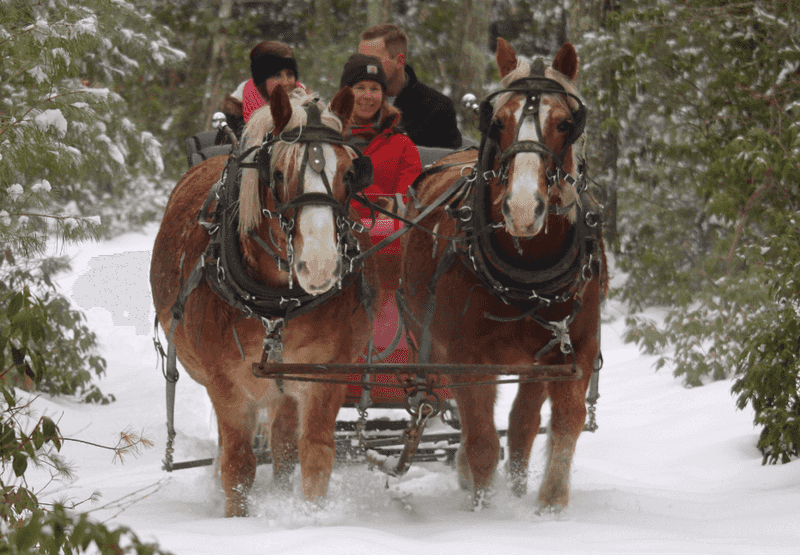 Magical Seasonal Sleigh Rides