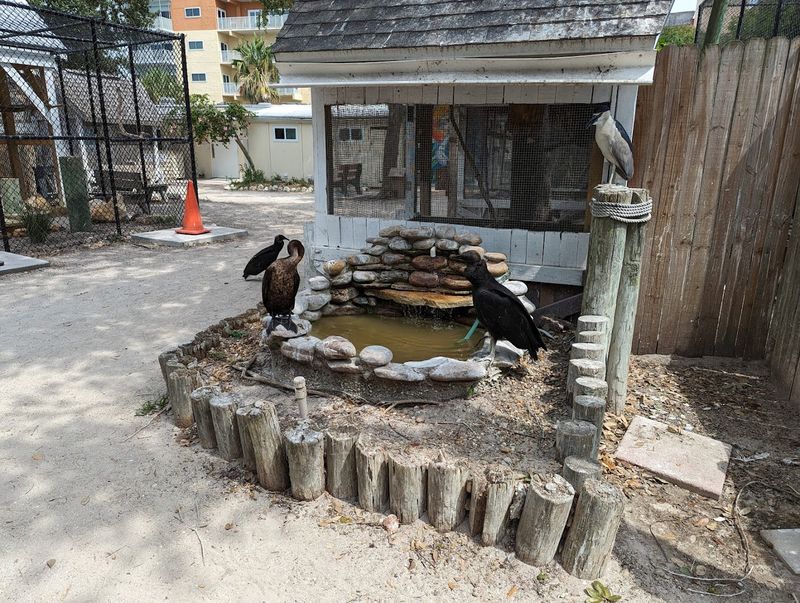 Walkable Pathways Through Natural Bird Habitats