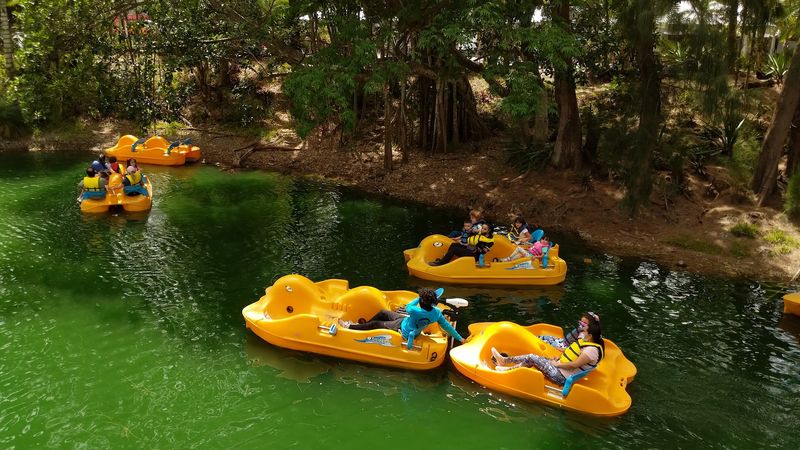 Pedal Boats on the Pond