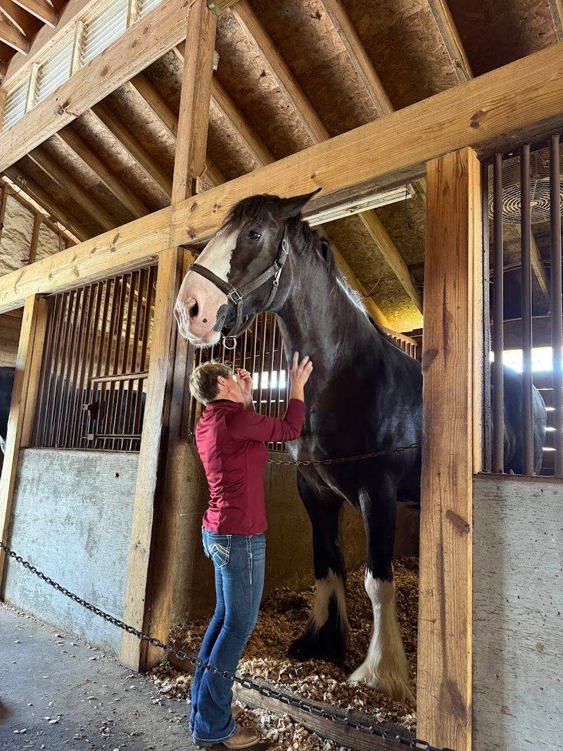 The VIP Tour Experience Explained