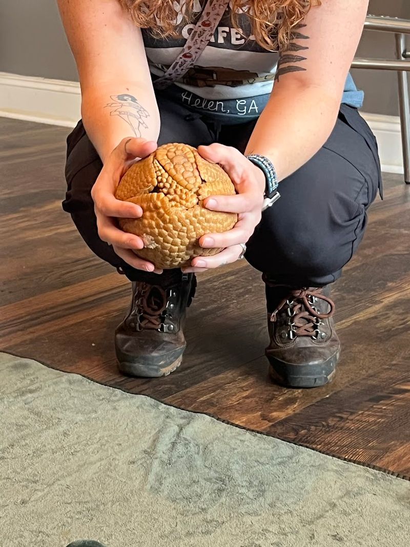 What To Wear And Bring