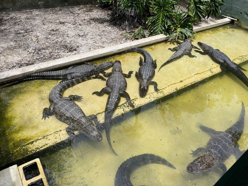 Best Times To Visit And Weather Realities