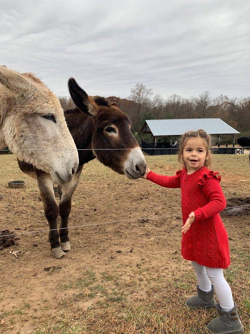 A Focus on Agritourism and Community Connection