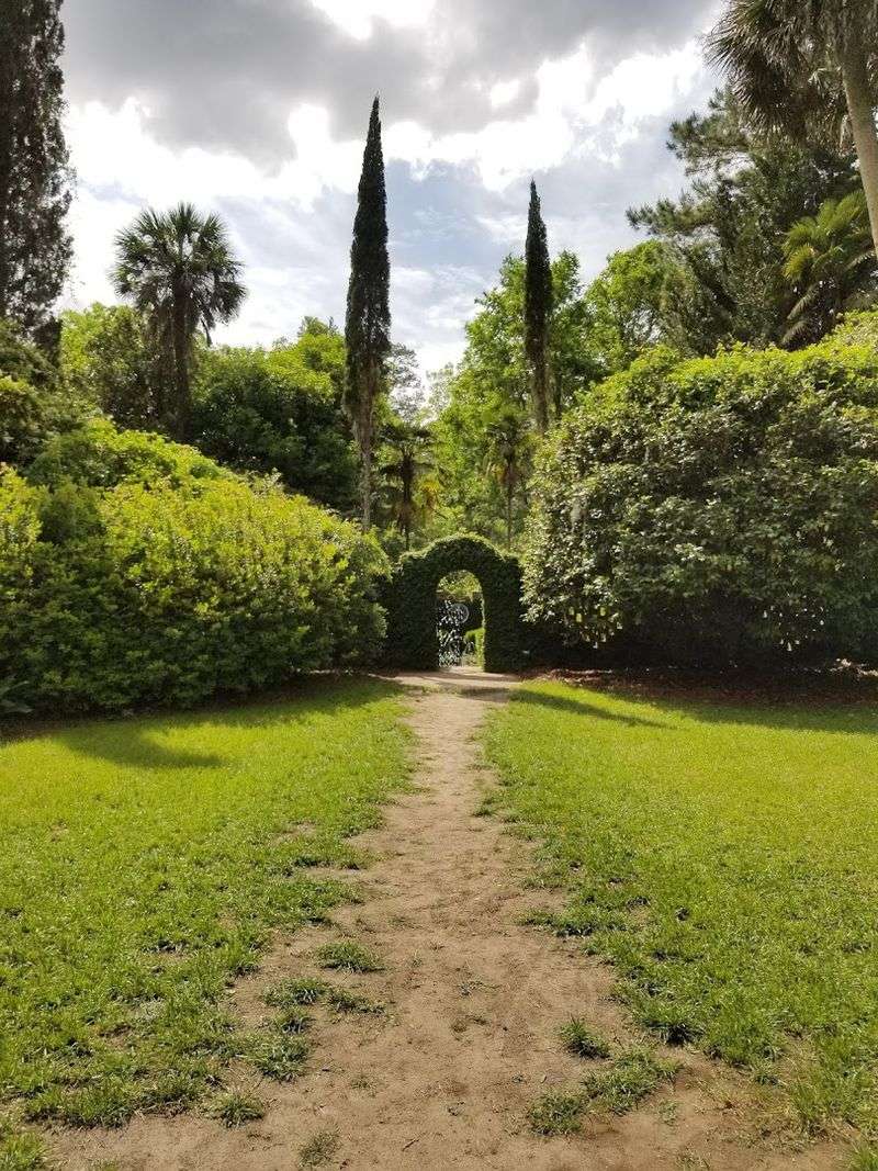 Trails, Wildlife, and Safety