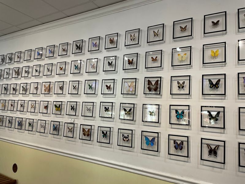 The Education Gallery