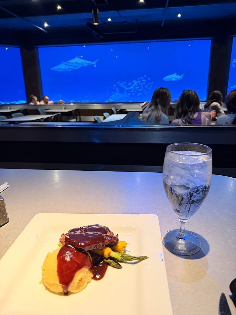 Pros, Cons, And Final Verdict