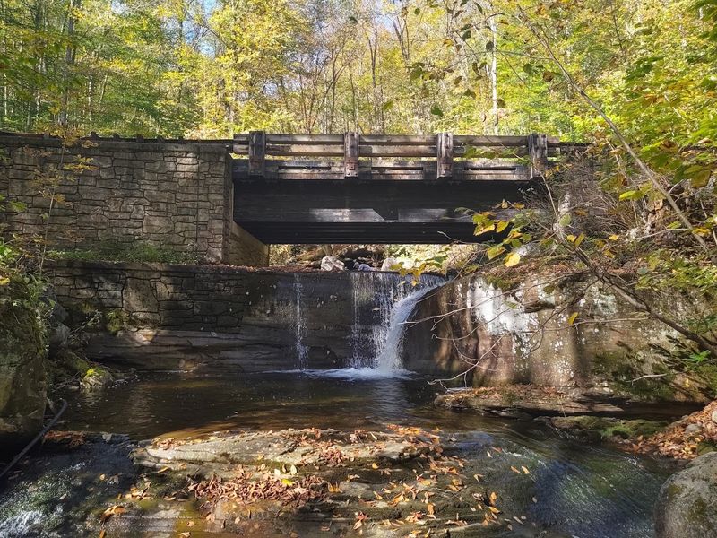 Nearby Character: Trout Run And McIntyre Area Context