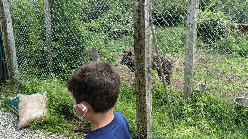 Family Logistics And Accessibility Notes