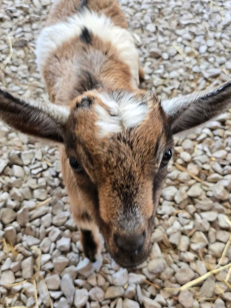 The People Behind the Experience