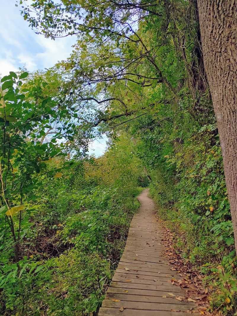 Mary Ann Furnace Trailhead