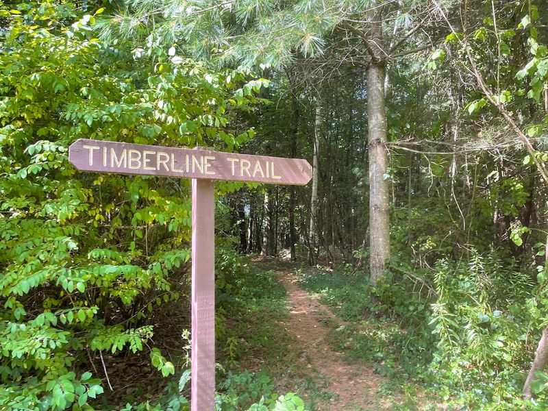 Family Fun: Bikes, Ranger Programs, and Simple Adventures