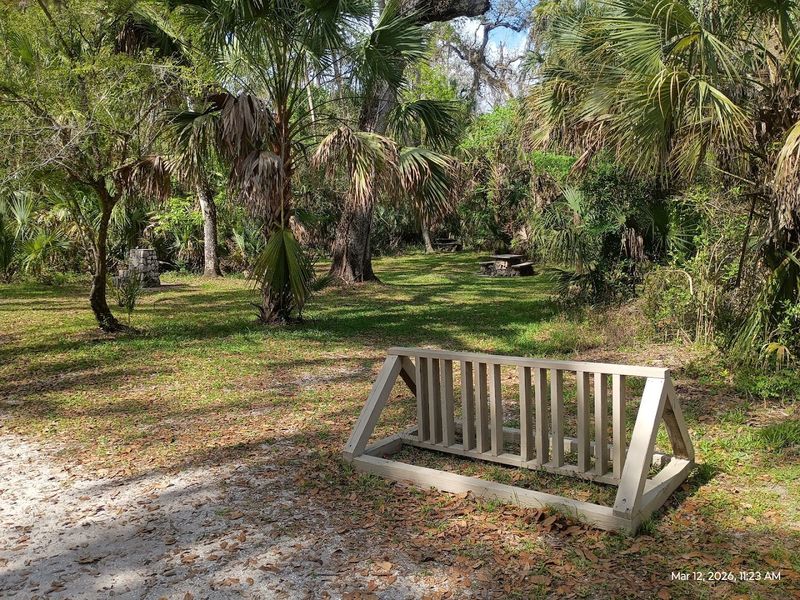 Bike Rentals and Kid-Friendly Amenities